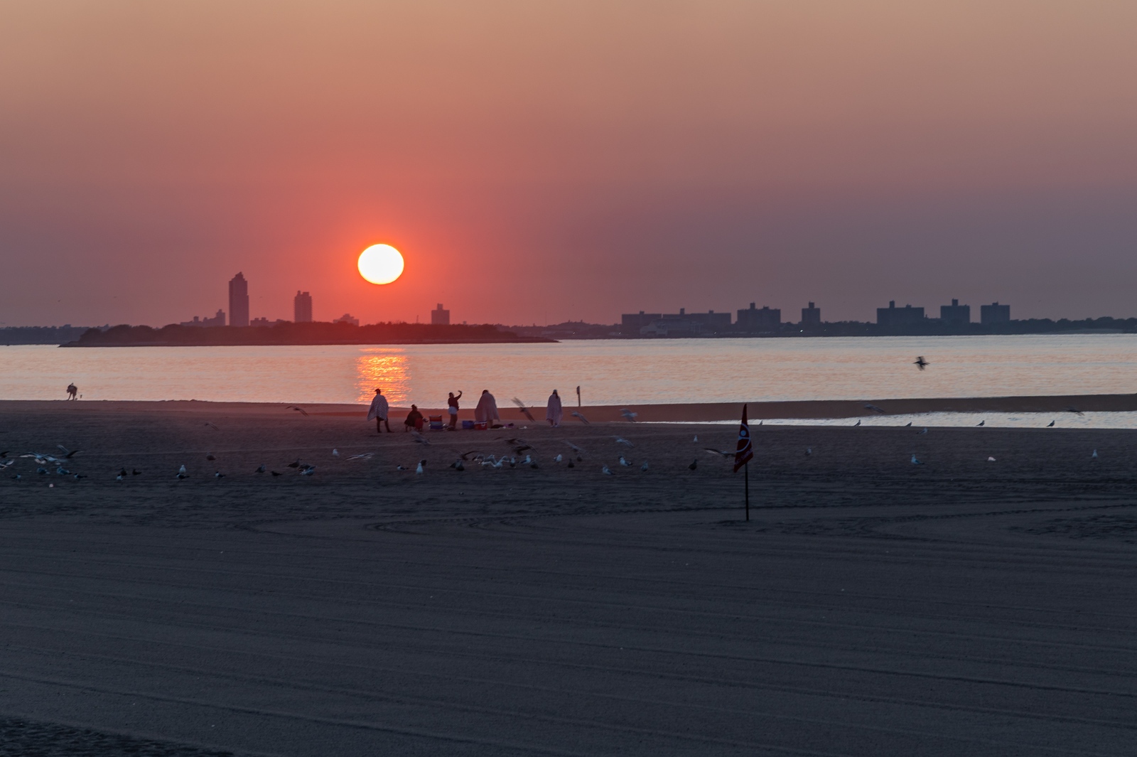 20250810-SI-TRI-004-X3